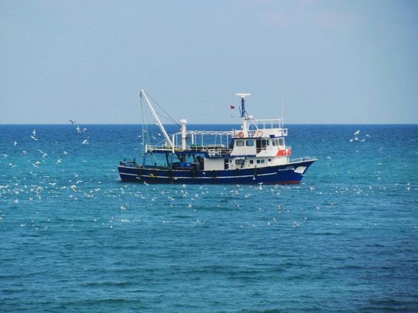 Les bateaux de pêche en 2026 : guides et conseils pratiques
